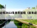 鼠年运程2022生肖年运程（鼠年运程2021）