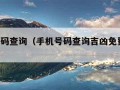 手机号码查询（手机号码查询吉凶免费 号令天下）