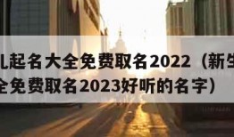 新生儿起名大全免费取名2022（新生儿起名大全免费取名2023好听的名字）