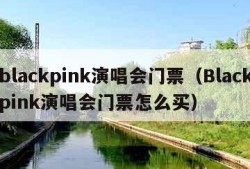 blackpink演唱会门票（Blackpink演唱会门票怎么买）