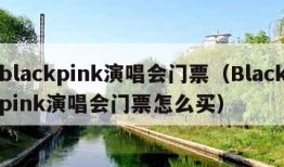 blackpink演唱会门票（Blackpink演唱会门票怎么买）