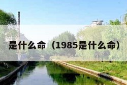 是什么命（1985是什么命）