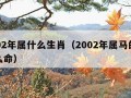 2002年属什么生肖（2002年属马的是什么命）