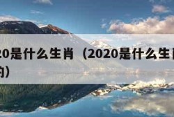 2020是什么生肖（2020是什么生肖属相的）