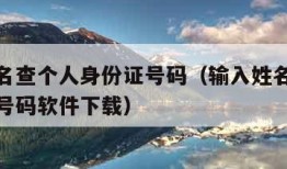 输入姓名查个人身份证号码（输入姓名查个人身份证号码软件下载）