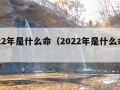 2022年是什么命（2022年是什么命呢）