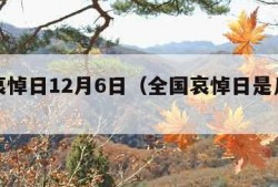 全国哀悼日12月6日（全国哀悼日是几月几号）