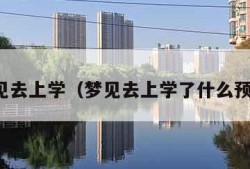 梦见去上学（梦见去上学了什么预兆）