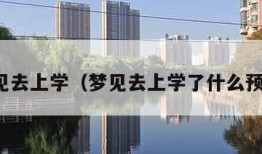 梦见去上学（梦见去上学了什么预兆）