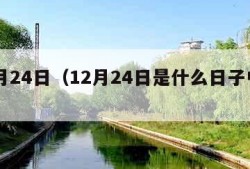 12月24日（12月24日是什么日子中国）