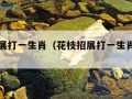 花枝招展打一生肖（花枝招展打一生肖打一生肖）