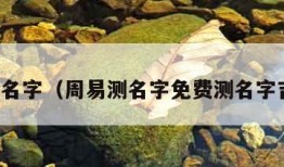 周易测名字（周易测名字免费测名字吉凶网）