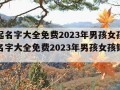 小孩起名字大全免费2023年男孩女孩（小孩起名字大全免费2023年男孩女孩锦字开头）