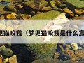 梦见猫咬我（梦见猫咬我是什么意思）