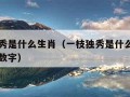 一枝独秀是什么生肖（一枝独秀是什么生肖确实答案数字）