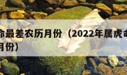 属虎命最差农历月份（2022年属虎命最差农历月份）