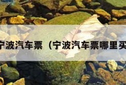 宁波汽车票（宁波汽车票哪里买）