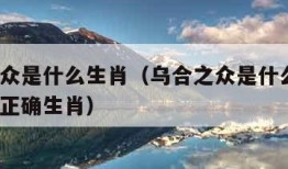 乌合之众是什么生肖（乌合之众是什么生肖?打一个正确生肖）