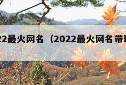 2022最火网名（2022最火网名带瑶字）