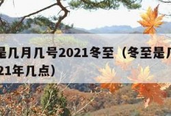 冬至是几月几号2021冬至（冬至是几月几号2021年几点）