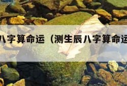 测生辰八字算命运（测生辰八字算命运免费软件）