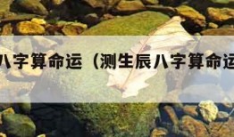 测生辰八字算命运（测生辰八字算命运免费软件）