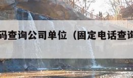 电话号码查询公司单位（固定电话查询详细单位）