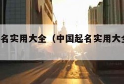 中国起名实用大全（中国起名实用大全 金志文）