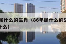 86年属什么的生肖（86年属什么的生肖五行属什么）