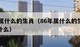 86年属什么的生肖（86年属什么的生肖五行属什么）