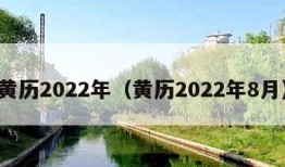 黄历2022年（黄历2022年8月）