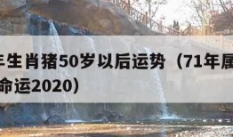 71年生肖猪50岁以后运势（71年属猪50岁命运2020）