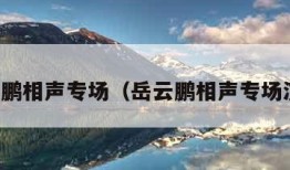 岳云鹏相声专场（岳云鹏相声专场演出）