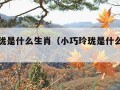 小巧玲珑是什么生肖（小巧玲珑是什么生肖正确）