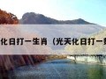 光天化日打一生肖（光天化日打一数字）