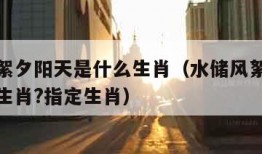 水储风絮夕阳天是什么生肖（水储风絮夕阳天是什么生肖?指定生肖）