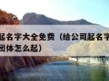 给公司起名字大全免费（给公司起名字大全免费社会团体怎么起）