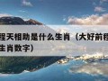 大好前程天相助是什么生肖（大好前程天相助是什么生肖数字）