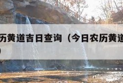 今日农历黄道吉日查询（今日农历黄道吉日查询宜忌）