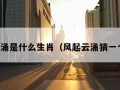 风起云涌是什么生肖（风起云涌猜一个生肖）