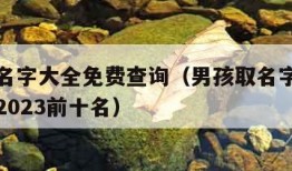 男孩取名字大全免费查询（男孩取名字大全免费查询2023前十名）