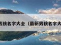 最新男孩名字大全（最新男孩名字大全集）