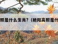 艳阳高照是什么生肖?（艳阳高照是什么生肖动物）