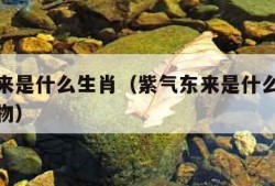 紫气东来是什么生肖（紫气东来是什么生肖最准确动物）