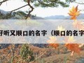 好听又顺口的名字（顺口的名字）