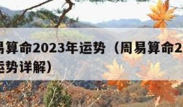 周易算命2023年运势（周易算命2023年运势详解）