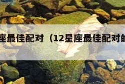 12星座最佳配对（12星座最佳配对的三个星座）