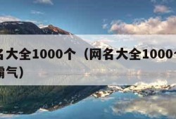 网名大全1000个（网名大全1000个男人霸气）