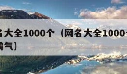 网名大全1000个（网名大全1000个男人霸气）