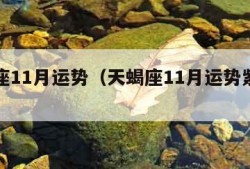 天蝎座11月运势（天蝎座11月运势紫薇网）